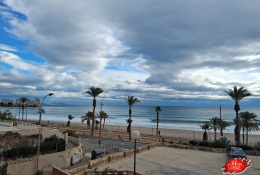 Appartment - Long Term Rentals  - El Campello -
                Beach