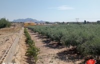 Chalet - Venta - Muchamiel - C 337