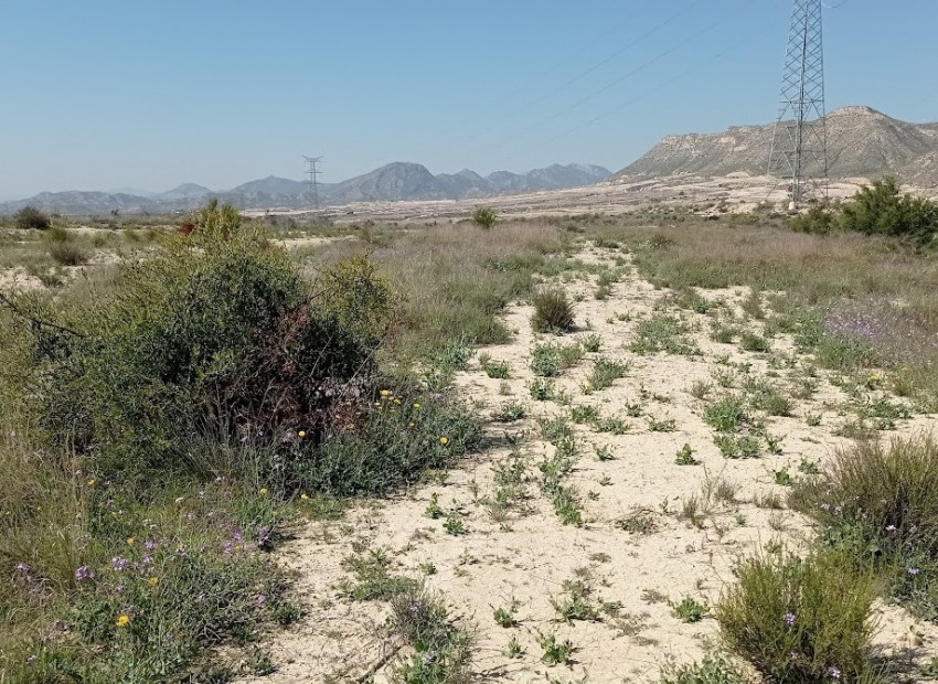 Resale - Land -
Busot - busot