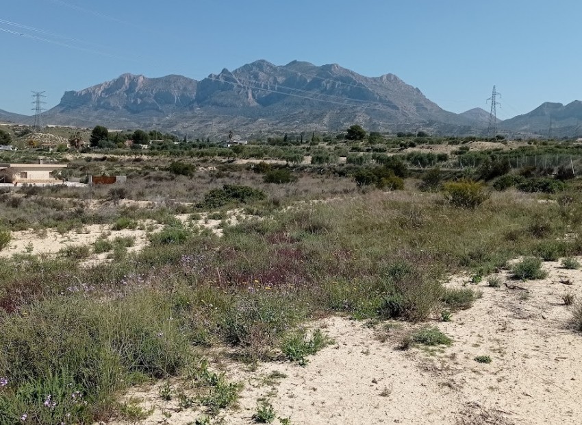 Resale - Land -
Busot - busot