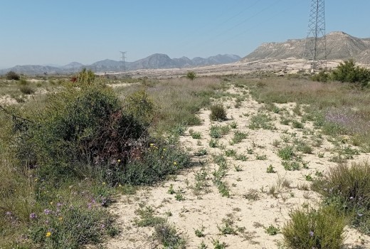 Terrain - Vente - Busot - busot