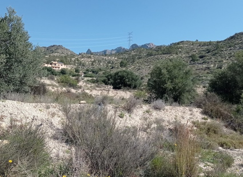 Venta - Parcela -
Busot - busot