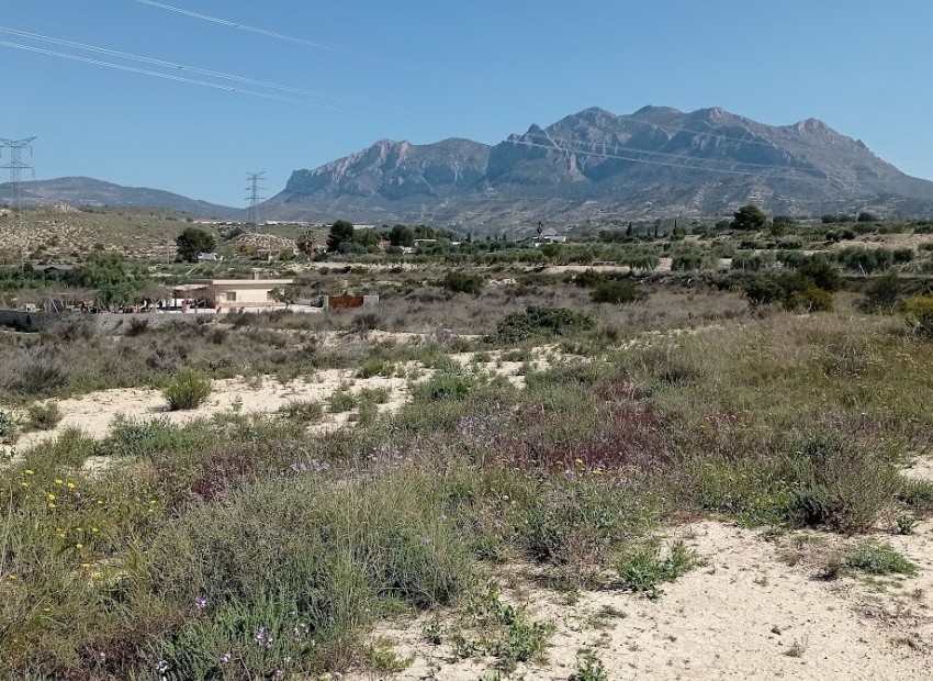 Venta - Parcela -
Busot - busot