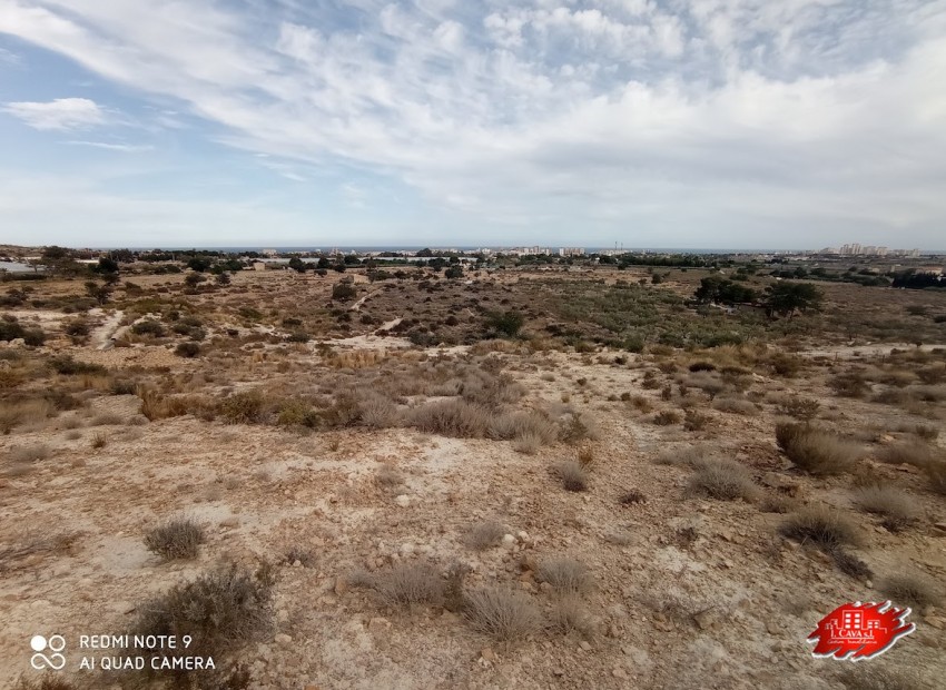 Venta - Parcela -
Muchamiel - Bonalba
