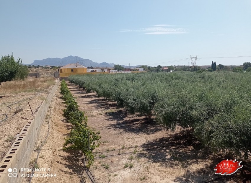 Vente - Villa -
Muchamiel - Rio park