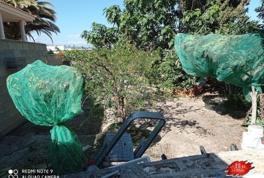 Resale - Ground Floor -
San Juan - Pueblo