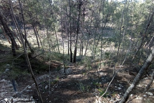 Venta - Chalet -
Alicante - Alrededores