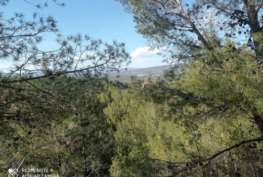 Venta - Chalet -
Alicante - Alrededores