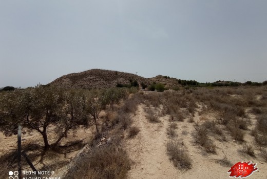 Vente - Villa -
Muchamiel - Rio park