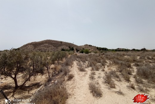 Vente - Villa -
Muchamiel - Rio park