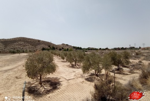 Vente - Villa -
Muchamiel - Rio park