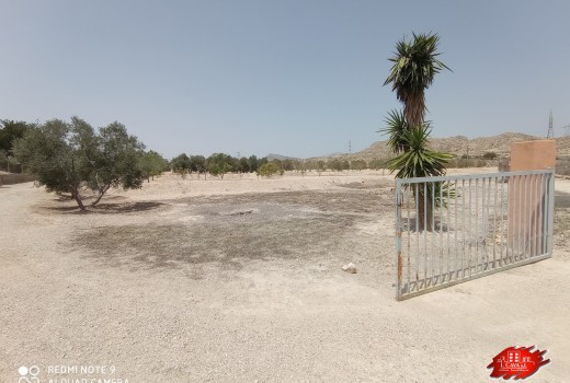 Vente - Villa -
Muchamiel - Rio park