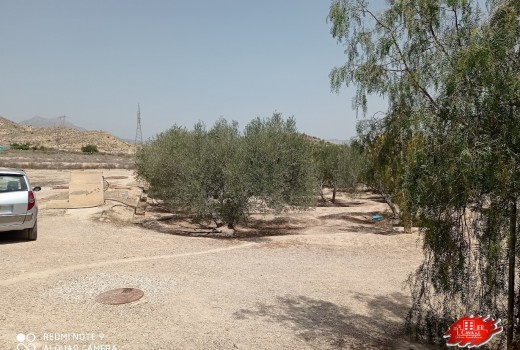 Vente - Villa -
Muchamiel - Rio park