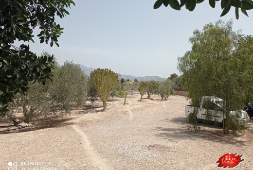 Vente - Villa -
Muchamiel - Rio park