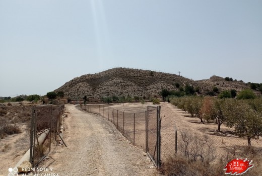 Vente - Villa -
Muchamiel - Rio park