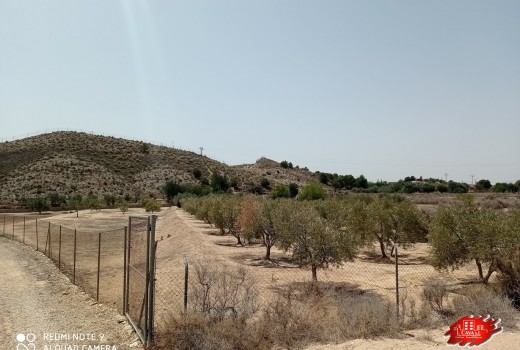 Vente - Villa -
Muchamiel - Rio park