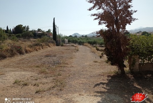 Vente - Villa -
Muchamiel - Rio park