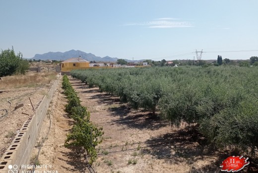 Resale - Villa -
Muchamiel - Rio park