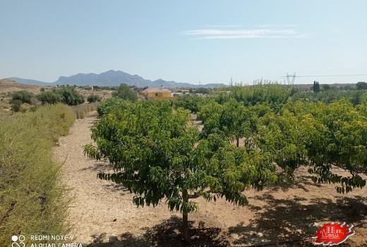 Resale - Villa -
Muchamiel - Rio park