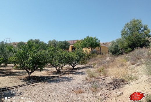 Resale - Villa -
Muchamiel - Rio park