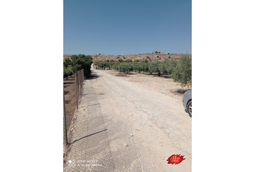 Resale - Villa -
Muchamiel - Rio park