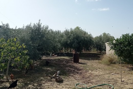 Resale - Villa -
Muchamiel - Rio park