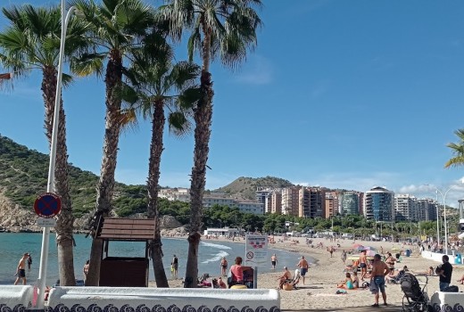 Venta - Piso -
Alicante - Alrededores