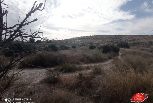 Resale - Land -
Muchamiel - Bonalba