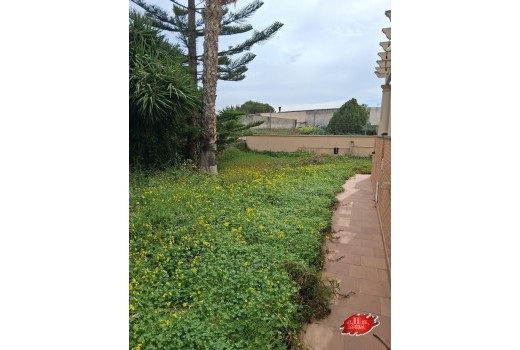 Resale - Villa -
Muchamiel - La huerta