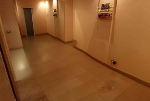 Resale - Premises -
San Juan - Pueblo