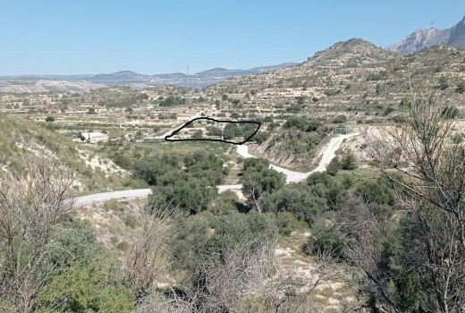 Venta - Parcela -
Busot - busot