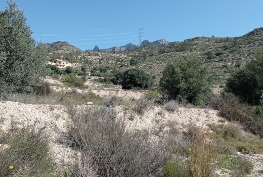 Venta - Parcela -
Busot - busot