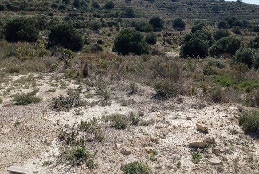 Venta - Parcela -
Busot - busot