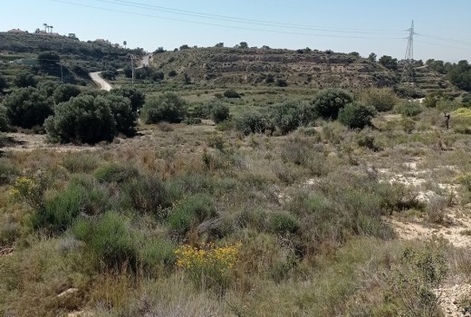 Venta - Parcela -
Busot - busot