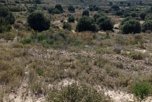 Venta - Parcela -
Busot - busot