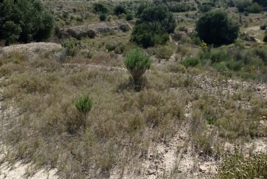 Venta - Parcela -
Busot - busot