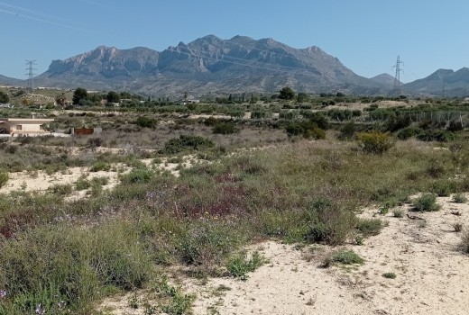 Venta - Parcela -
Busot - busot