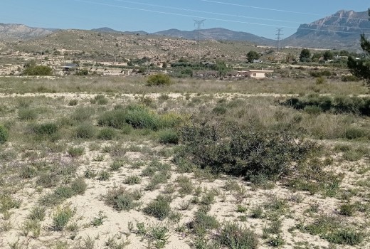 Venta - Parcela -
Busot - busot