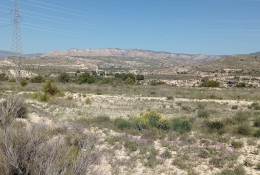 Venta - Parcela -
Busot - busot