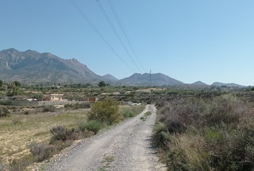 Venta - Parcela -
Busot - busot