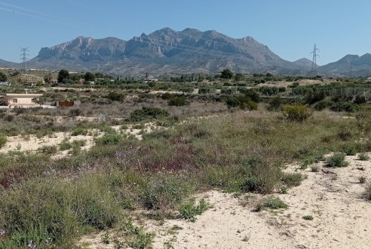 Venta - Parcela -
Busot - busot