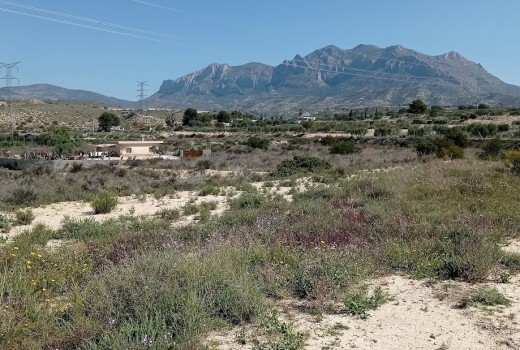 Venta - Parcela -
Busot - busot