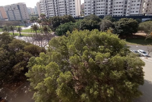 Venta - Piso -
San Juan - Playa